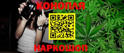 амф Бийск