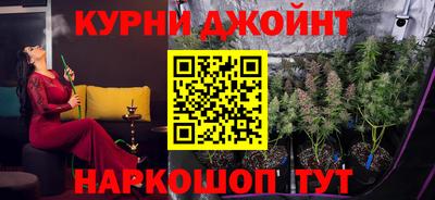 амф Бийск
