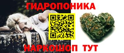 сатива Беслан