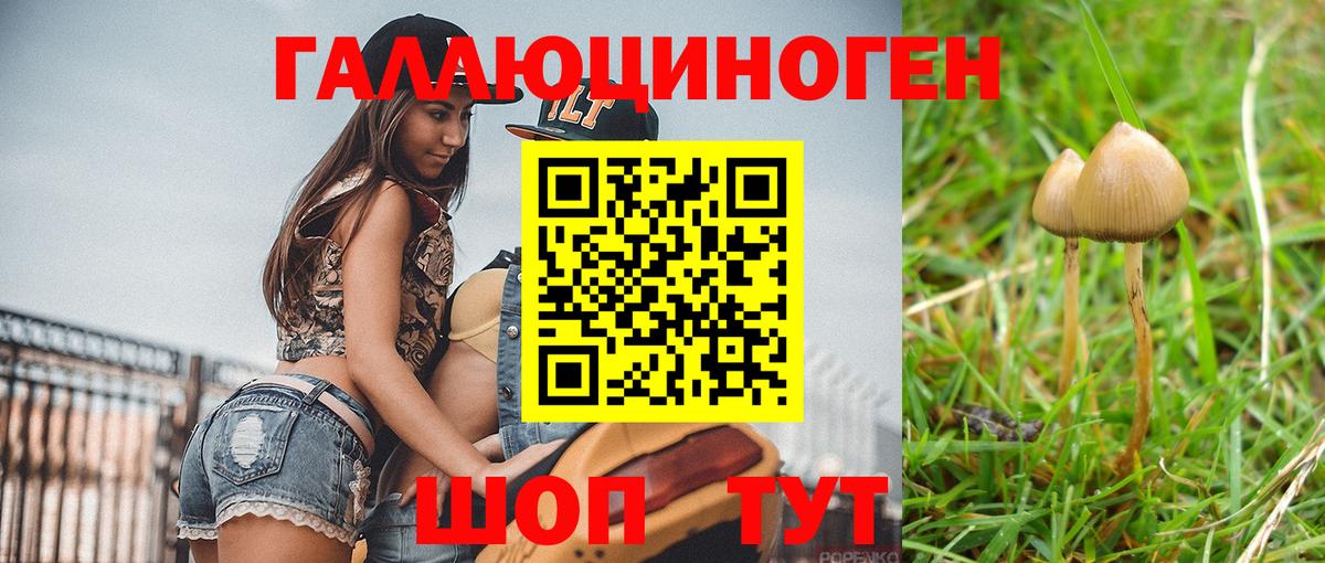 Псилоцибиновые грибы Psilocybe Артём
