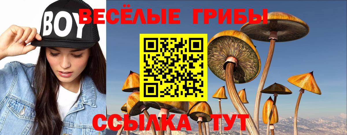Псилоцибиновые грибы GOLDEN TEACHER  Галлюциногенные грибы MAGIC MUSHROOMS  Артём  Вход с VPN 